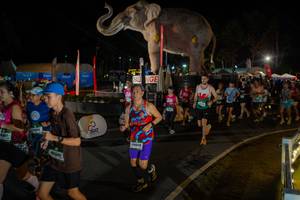 BIB: 
                            <button type="button" onclick="openModal(26552323)" class="btn btn-primary btn-sm float-right btn-popup" data-toggle="modal" data-target=".modal-high-quality">
                        <i class="fas fa-shopping-cart"></i> Add to Cart
                    </button>
                                            <button type="button" onclick="isThisMe(26552323, true)" class="btn btn-success btn-sm float-right btn-popup btn-isme hidden" data-toggle="tooltip" data-placement="bottom" title="นี่คือรูปของคุณใช่ไหม คลิกที่นี่เพื่อเอาเข้าอัลบั้ม">
                        <i class="fas fa-plus"></i> Add to album
                    </button>
                    <button type="button" onclick="isThisMe(26552323, false)" class="btn btn-warning btn-sm float-right btn-popup btn-isnotme hidden">
                        <i class="fas fa-ban"></i> Remove from album
                    </button>